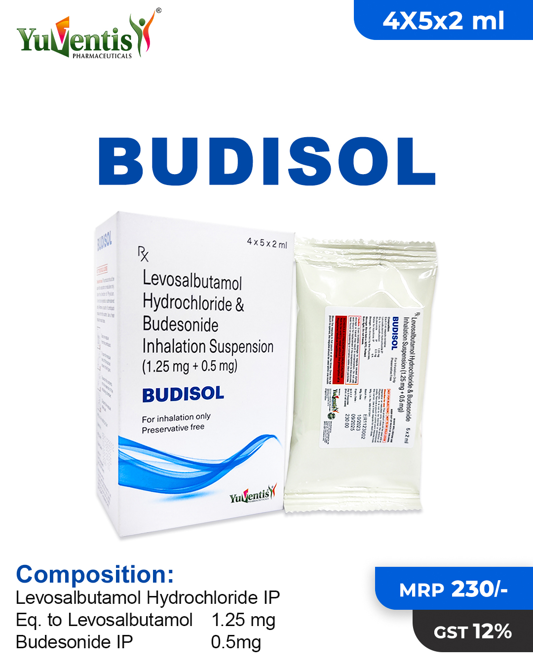 BUDISOL